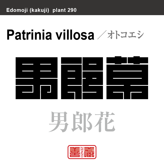 男郎花　オトコエシ　花や植物の名前（漢字表記）を角字で表現してみました。該当する植物についても簡単に解説しています。