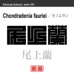 尾上蘭　オノエラン　花や植物の名前（漢字表記）を角字で表現してみました。該当する植物についても簡単に解説しています。