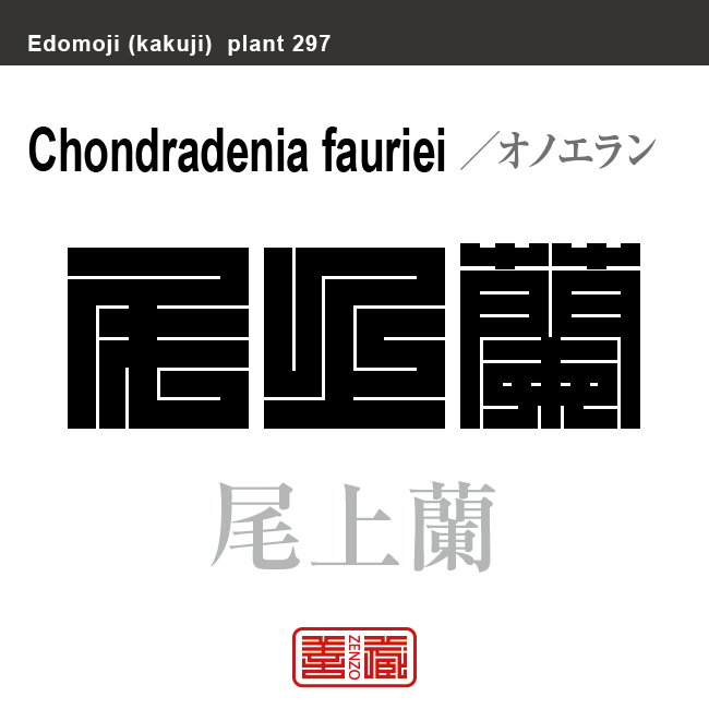 尾上蘭　オノエラン　花や植物の名前（漢字表記）を角字で表現してみました。該当する植物についても簡単に解説しています。