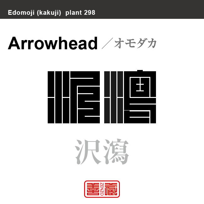 沢瀉　オモダカ　花や植物の名前（漢字表記）を角字で表現してみました。該当する植物についても簡単に解説しています。