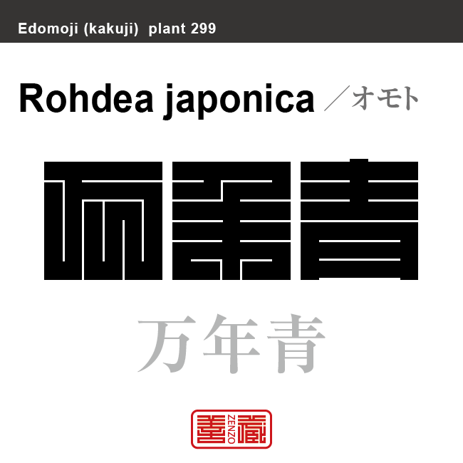 万年青　オモト　花や植物の名前（漢字表記）を角字で表現してみました。該当する植物についても簡単に解説しています。