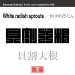 貝割大根　かいわれだいこん　野菜や果物の名前（漢字表記）を角字で表現してみました。該当する植物についても簡単に解説しています。