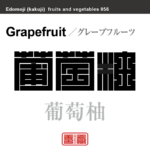 葡萄柚　グレープフルーツ　野菜や果物の名前（漢字表記）を角字で表現してみました。該当する植物についても簡単に解説しています。