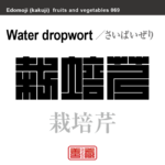 栽培芹　さいばいぜり　野菜や果物の名前（漢字表記）を角字で表現してみました。該当する植物についても簡単に解説しています。