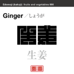 生姜　しょうが　野菜や果物の名前（漢字表記）を角字で表現してみました。該当する植物についても簡単に解説しています。