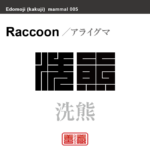 洗熊　アライグマ　哺乳類の名前（漢字表記）を角字で表現してみました。該当する動物についても簡単に解説しています。