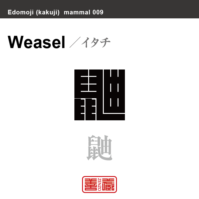 鼬　イタチ　哺乳類の名前（漢字表記）を角字で表現してみました。該当する動物についても簡単に解説しています。