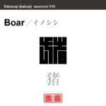 猪　イノシシ　哺乳類の名前（漢字表記）を角字で表現してみました。該当する動物についても簡単に解説しています。
