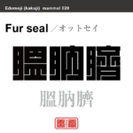 膃肭臍　オットセイ　哺乳類の名前（漢字表記）を角字で表現してみました。該当する動物についても簡単に解説しています。