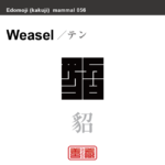 貂　テン　哺乳類の名前（漢字表記）を角字で表現してみました。該当する動物についても簡単に解説しています。