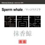 抹香鯨　マッコウクジラ　哺乳類の名前（漢字表記）を角字で表現してみました。該当する動物についても簡単に解説しています。
