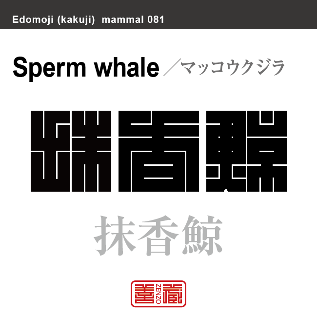 抹香鯨 マッコウクジラ 哺乳類の名前(漢字表記)を角字で表現してみました。該当する動物についても簡単に解説しています。