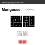 猫鼬　マングース　哺乳類の名前（漢字表記）を角字で表現してみました。該当する動物についても簡単に解説しています。