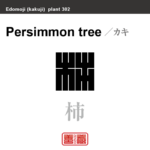 柿　カキ　花や植物の名前（漢字表記）を角字で表現してみました。該当する植物についても簡単に解説しています。