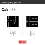 樫 橿　カシ　花や植物の名前（漢字表記）を角字で表現してみました。該当する植物についても簡単に解説しています。