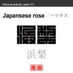 浜梨 浜茄子　ハマナス　花や植物の名前（漢字表記）を角字で表現してみました。該当する植物についても簡単に解説しています。