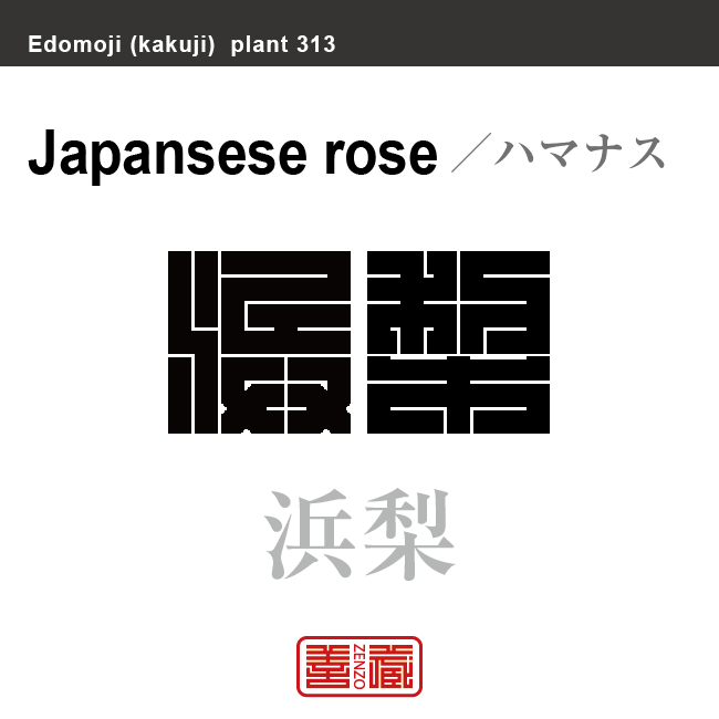 浜梨 浜茄子　ハマナス　花や植物の名前（漢字表記）を角字で表現してみました。該当する植物についても簡単に解説しています。