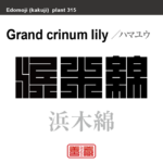 浜木綿　ハマユウ　花や植物の名前（漢字表記）を角字で表現してみました。該当する植物についても簡単に解説しています。