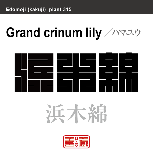 浜木綿　ハマユウ　花や植物の名前（漢字表記）を角字で表現してみました。該当する植物についても簡単に解説しています。