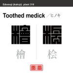 檜 桧　ヒノキ　花や植物の名前（漢字表記）を角字で表現してみました。該当する植物についても簡単に解説しています。