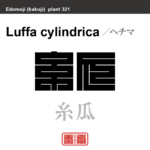 糸瓜　ヘチマ　花や植物の名前（漢字表記）を角字で表現してみました。該当する植物についても簡単に解説しています。