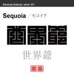 世界爺　セコイア　花や植物の名前（漢字表記）を角字で表現してみました。該当する植物についても簡単に解説しています。