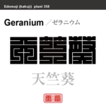 天竺葵　テンジクアオイ ゼラニウム　花や植物の名前（漢字表記）を角字で表現してみました。該当する植物についても簡単に解説しています。