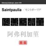 阿弗利加菫　セントポーリア　花や植物の名前（漢字表記）を角字で表現してみました。該当する植物についても簡単に解説しています。