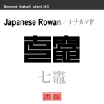 七竈　ナナカマド　花や植物の名前（漢字表記）を角字で表現してみました。該当する植物についても簡単に解説しています。