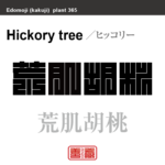 荒肌胡桃　ヒッコリー　花や植物の名前（漢字表記）を角字で表現してみました。該当する植物についても簡単に解説しています。