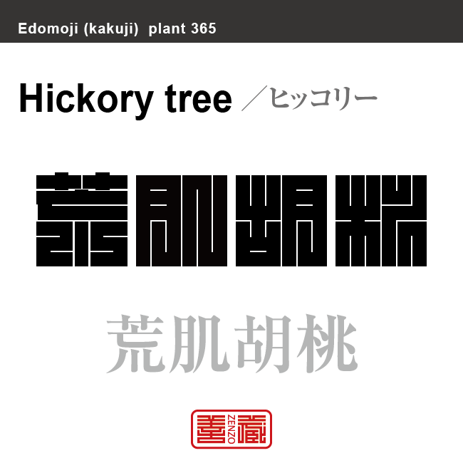 荒肌胡桃 ヒッコリー 花や植物の名前(漢字表記)を角字で表現してみました。該当する植物についても簡単に解説しています。