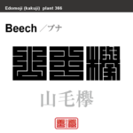 山毛欅　ブナ　花や植物の名前（漢字表記）を角字で表現してみました。該当する植物についても簡単に解説しています。