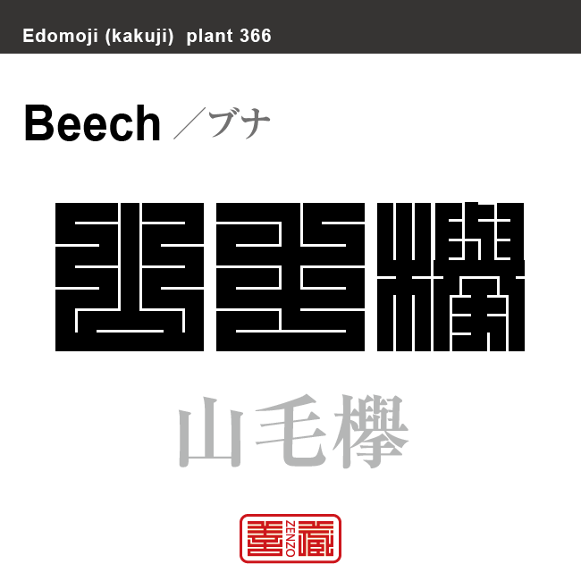 山毛欅 ブナ 花や植物の名前(漢字表記)を角字で表現してみました。該当する植物についても簡単に解説しています。