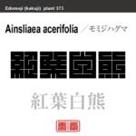 紅葉白熊　モミジハグマ　花や植物の名前（漢字表記）を角字で表現してみました。該当する植物についても簡単に解説しています。