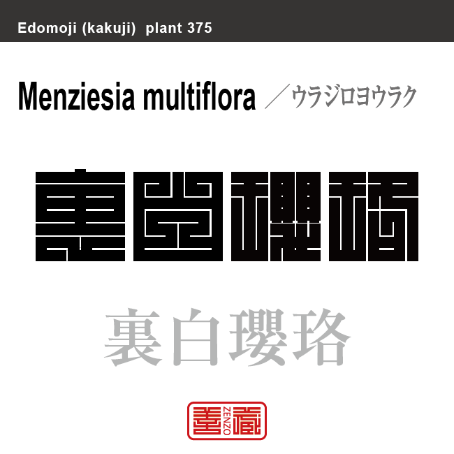 裏白瓔珞 ウラジロヨウラク 花や植物の名前(漢字表記)を角字で表現してみました。該当する植物についても簡単に解説しています。