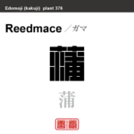 蒲 香蒲　ガマ　花や植物の名前（漢字表記）を角字で表現してみました。該当する植物についても簡単に解説しています。