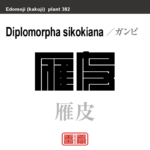 雁皮　ガンピ　花や植物の名前（漢字表記）を角字で表現してみました。該当する植物についても簡単に解説しています。