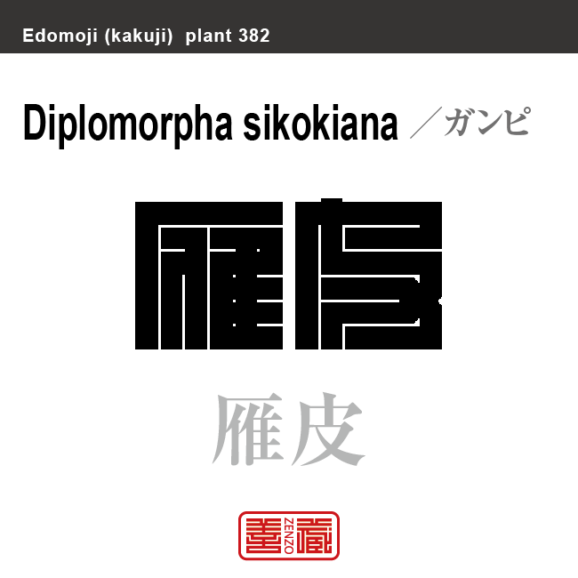 雁皮　ガンピ　花や植物の名前（漢字表記）を角字で表現してみました。該当する植物についても簡単に解説しています。