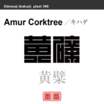 黄檗 黄膚　キハダ　花や植物の名前（漢字表記）を角字で表現してみました。該当する植物についても簡単に解説しています。