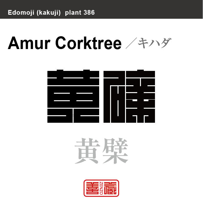 黄檗 黄膚 キハダ 花や植物の名前(漢字表記)を角字で表現してみました。該当する植物についても簡単に解説しています。