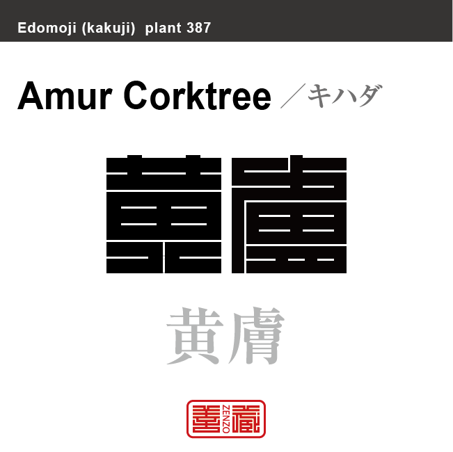黄檗 黄膚　キハダ　花や植物の名前（漢字表記）を角字で表現してみました。該当する植物についても簡単に解説しています。