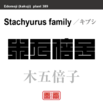 木五倍子　キブシ　花や植物の名前（漢字表記）を角字で表現してみました。該当する植物についても簡単に解説しています。