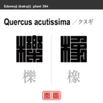 櫟 橡 椚木　クヌギ　花や植物の名前（漢字表記）を角字で表現してみました。該当する植物についても簡単に解説しています。