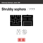 苦参　クララ　花や植物の名前（漢字表記）を角字で表現してみました。該当する植物についても簡単に解説しています。