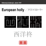 西洋柊　クリスマスホーリー　花や植物の名前（漢字表記）を角字で表現してみました。該当する植物についても簡単に解説しています。