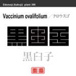 黒臼子　クロウスゴ　花や植物の名前（漢字表記）を角字で表現してみました。該当する植物についても簡単に解説しています。