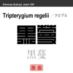 黒蔓　クロヅル　花や植物の名前（漢字表記）を角字で表現してみました。該当する植物についても簡単に解説しています。