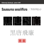 黒唐飛廉　クロトウヒレン　花や植物の名前（漢字表記）を角字で表現してみました。該当する植物についても簡単に解説しています。