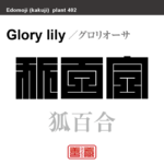 狐百合　グロリオーサ　花や植物の名前（漢字表記）を角字で表現してみました。該当する植物についても簡単に解説しています。