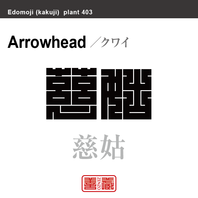 慈姑　クワイ　花や植物の名前（漢字表記）を角字で表現してみました。該当する植物についても簡単に解説しています。